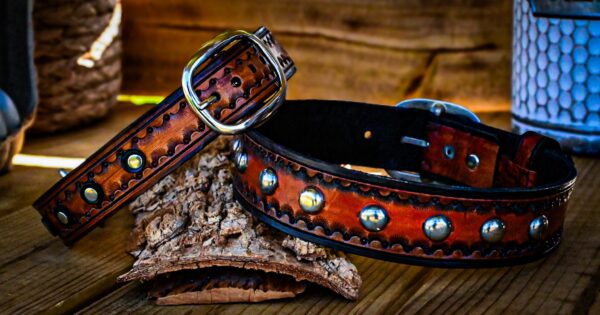 Leather Dog Collars